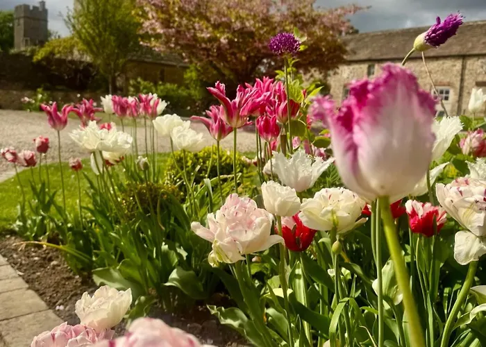 Parr At Snape Castle Mews * Bedale