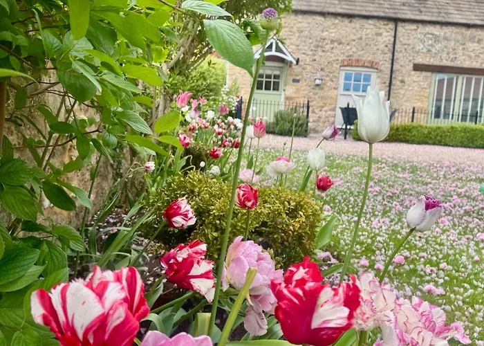 Nyaraló Parr At Snape Castle Mews *